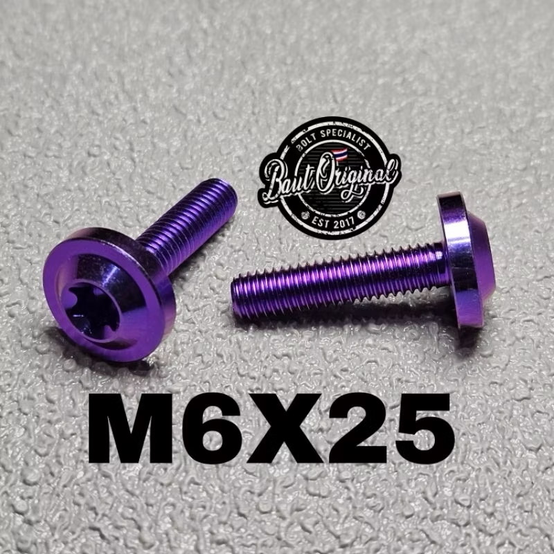 BAUT TITANIUM M6x25 BIG TITANIUM M6 ( DRAT 10 )